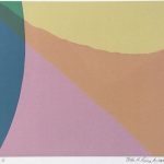 colorful abstracted forms
